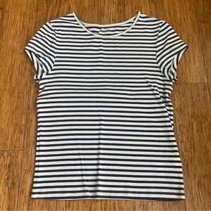 American Eagle Outfitters Navy and White Striped Tee